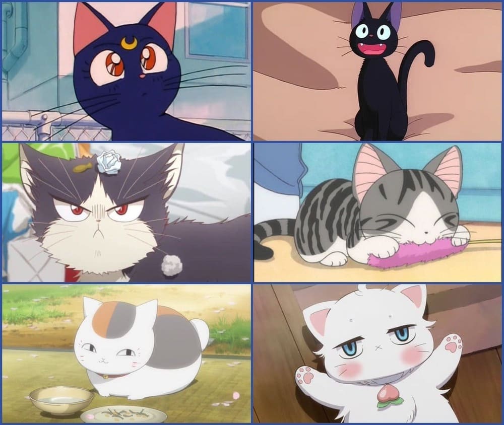15 Rekomendasi Anime tentang Kucing yang Wajib Kamu Tonton, Gemas dan Bikin Betah!