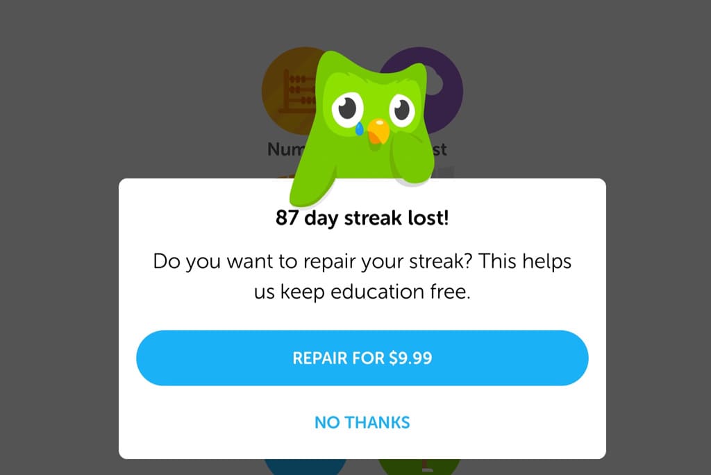 Kenapa Streak Duolingo Hilang? Ini Penyebab dan Cara Mengembalikannya