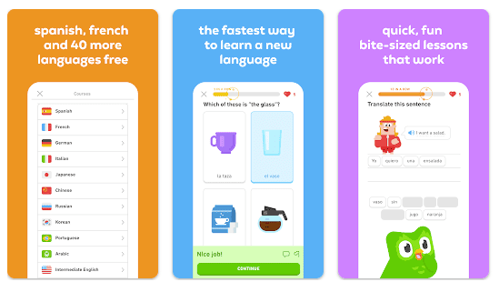 Di Mana Tempat Patungan Duolingo